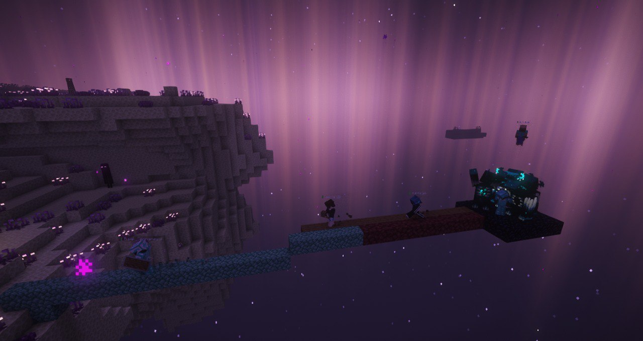 Вардены на платформе