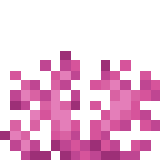 Текстура brain_coral_fan.png